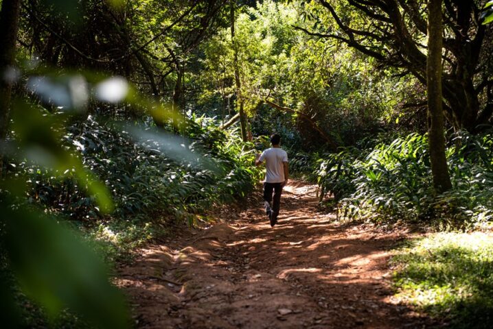 Trilha ecológica no Vale do Sereno