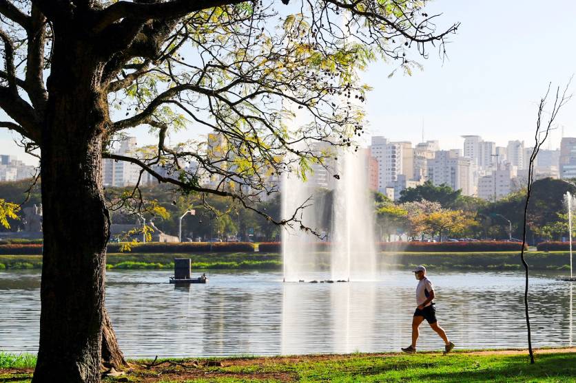 Pista de caminhada do Pq. Ibirapuera