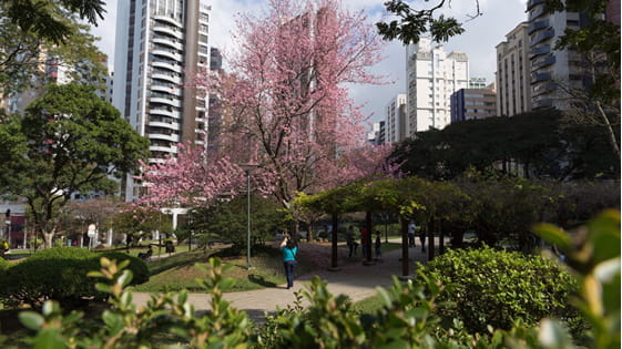 Água verde, bairro valorizado de Curitiba