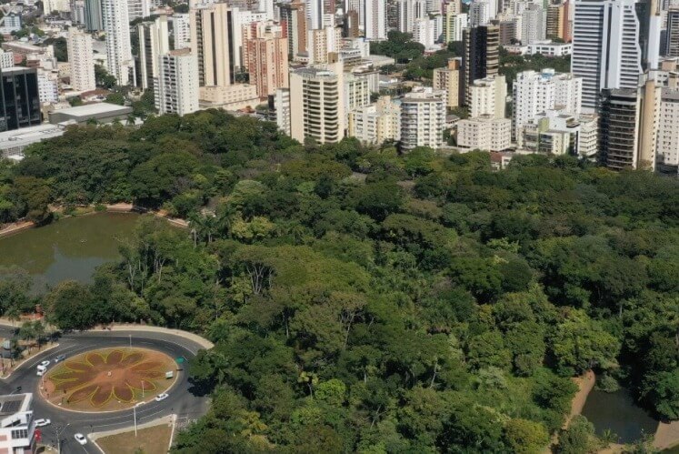 Bosque dos Buritis