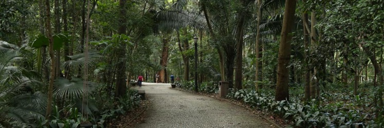 Parque Trianon em São Paulo
